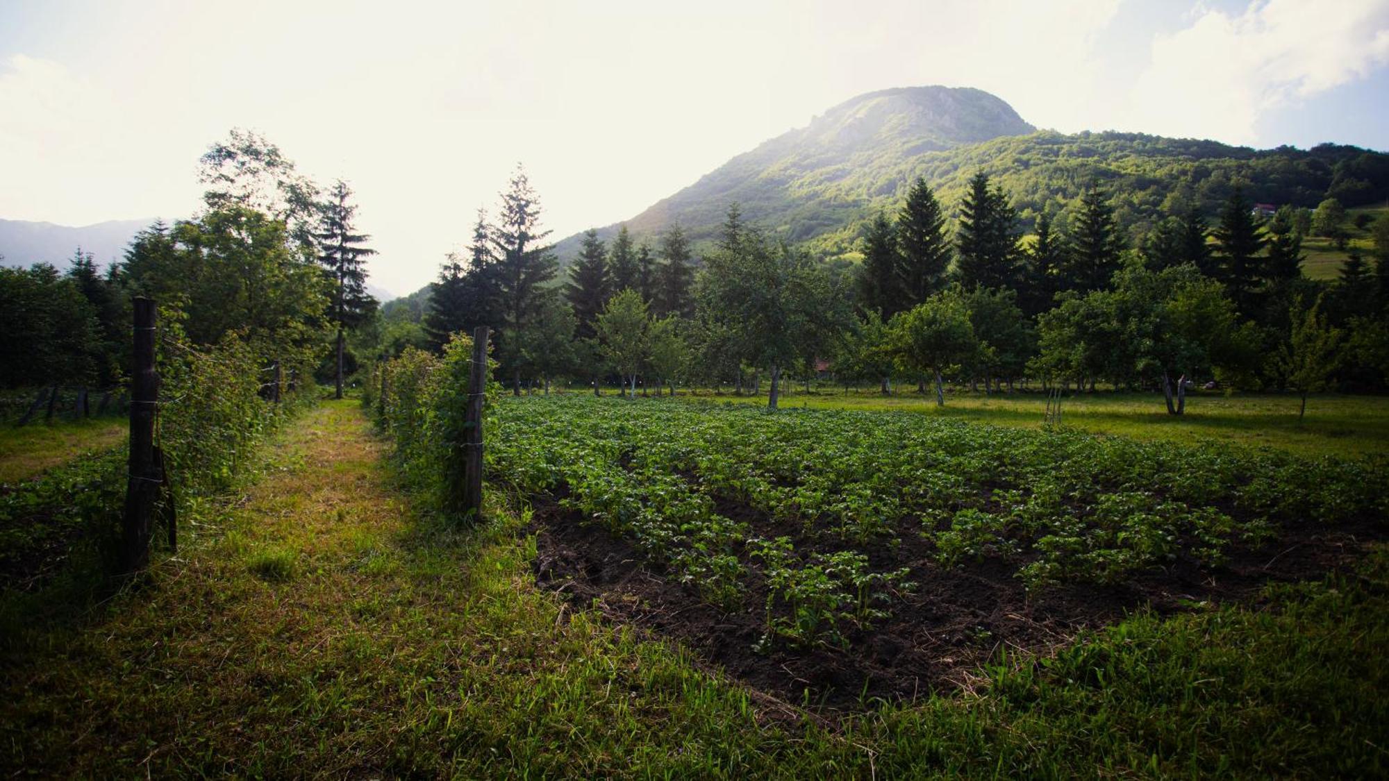 Ethno Village Stitarica Mojkovac Exteriér fotografie